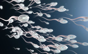 Low Sperm Count Treatment Arizona