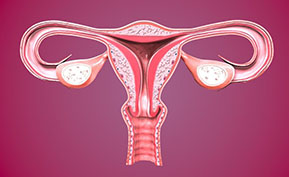 Uterine or Fallopian Tube Issues